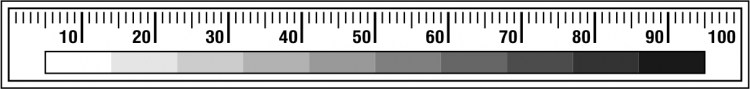 Měřítko 10 x 1 cm BŠM-14